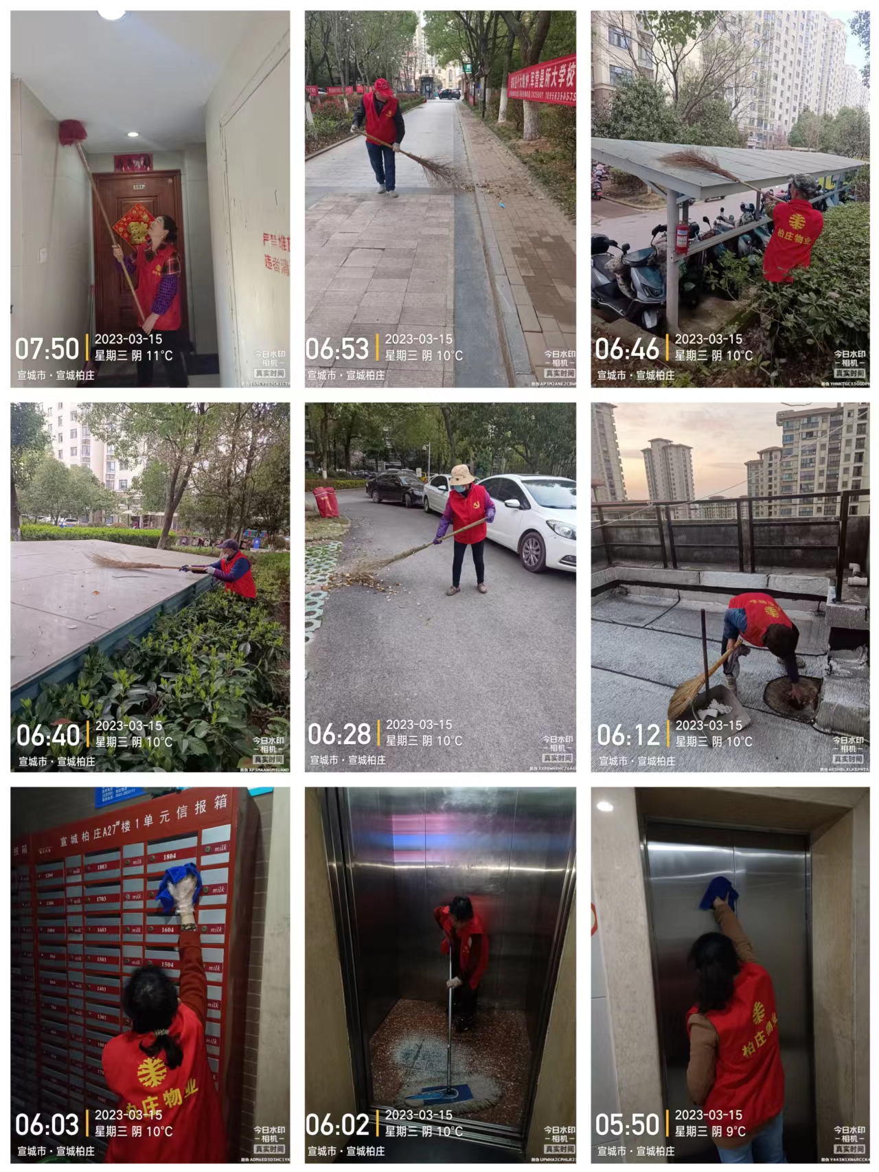 宣傳柏莊小區環境衛生大整頓